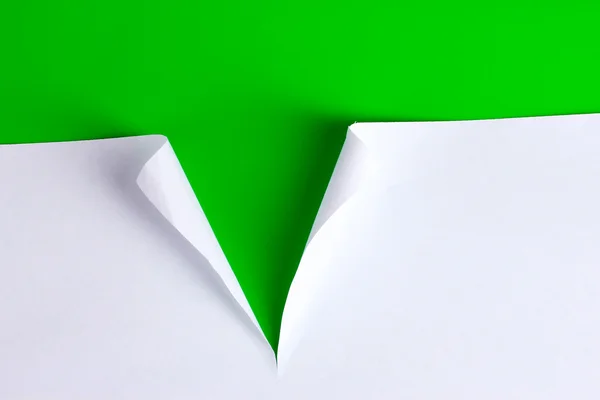 Carta strappata con sfondo verde — Foto Stock