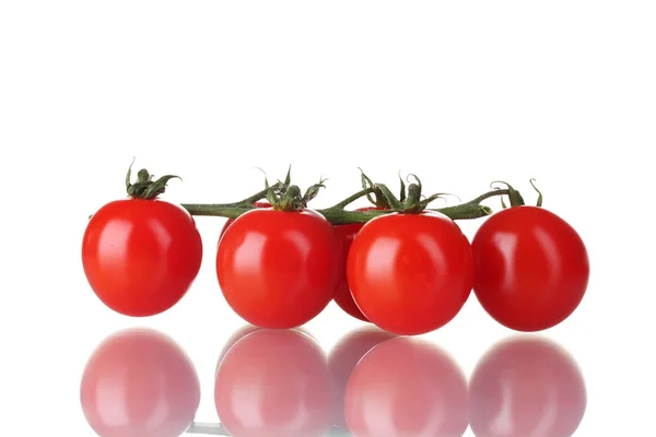 Güzel kiraz domates üzerinde beyaz izole dal — Stok fotoğraf