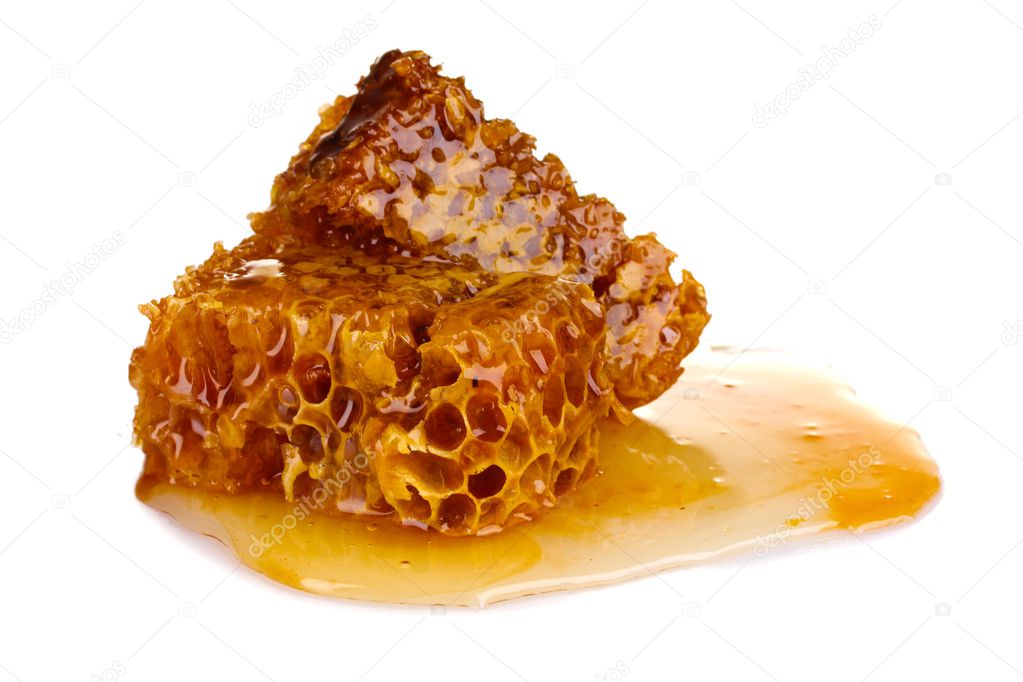 Tasty honeycombs isolated on white