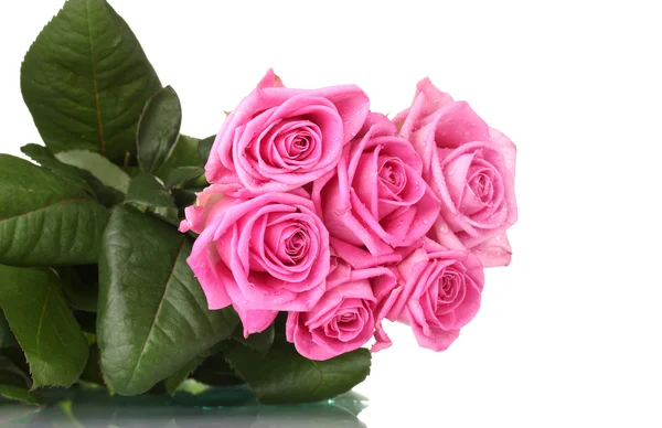 Viele rosa Rosen isoliert auf weiß Stockfoto