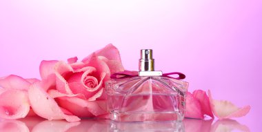 Perfume bottle and pink rose on pink clipart