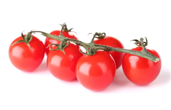Красивые помидоры черри на ветке изолированы на белом — стоковое фото