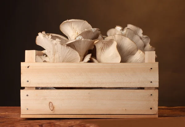 Oyster mushrooms in wooden box on table on brown background — Stock Photo, Image