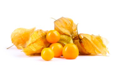 physalis öbek üzerinde beyaz izole