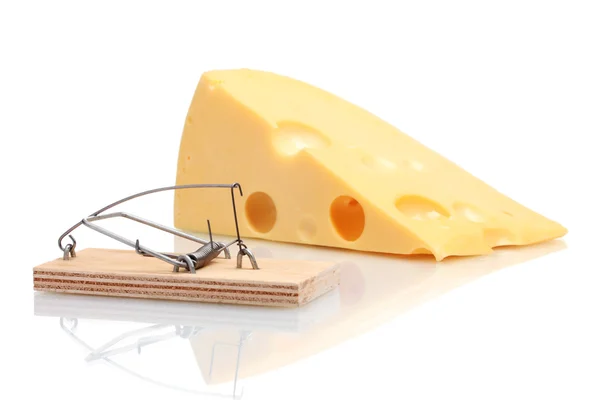 捕鼠器孤立在白色的奶酪 — 图库照片