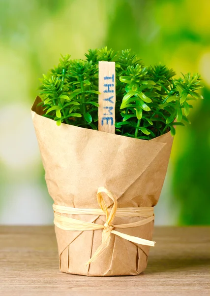 Planta de hierba de tomillo en maceta con hermosa decoración de papel sobre mesa de madera sobre fondo verde —  Fotos de Stock