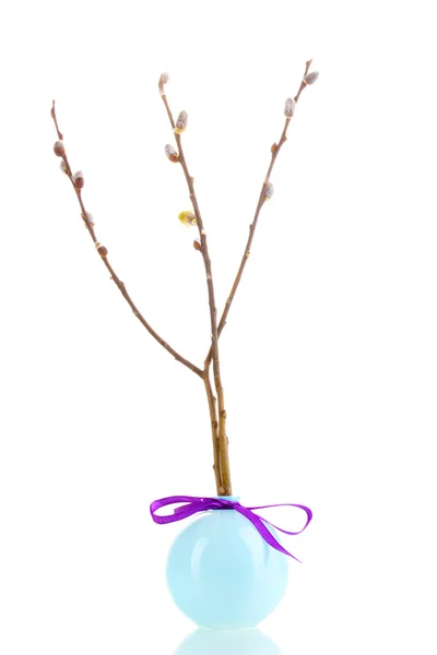 stock image Pussy-willow twig in vase isolated on white