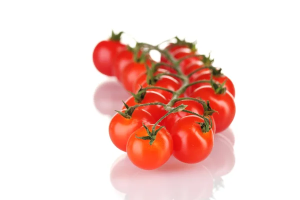 Piękne pomidory na oddział na białym tle — Zdjęcie stockowe