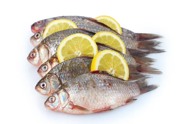 用白色上孤立的柠檬新鲜鱼类 — 图库照片