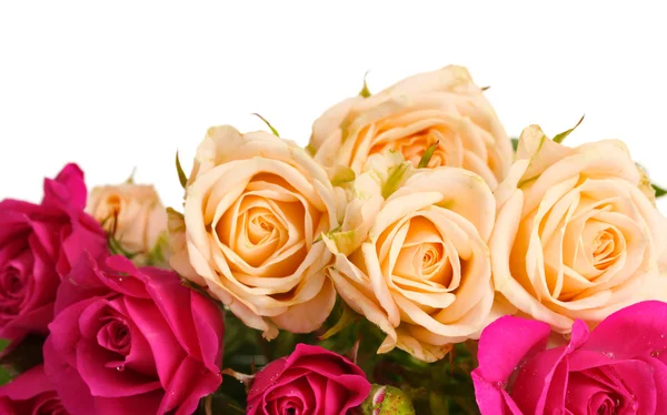 Λευκές και ροζ τριαντάφυλλα που απομονώνονται σε λευκό — Φωτογραφία Αρχείου