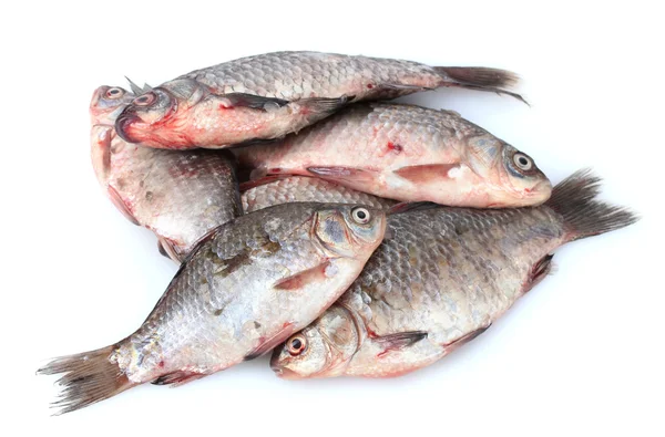 Čerstvé ryby, izolované na bílém — Stock fotografie