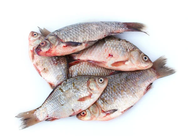 Taze balıklar beyaz izole — Stok fotoğraf
