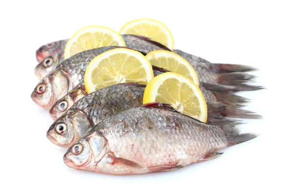 Taze balıklar beyaz izole limon — Stok fotoğraf