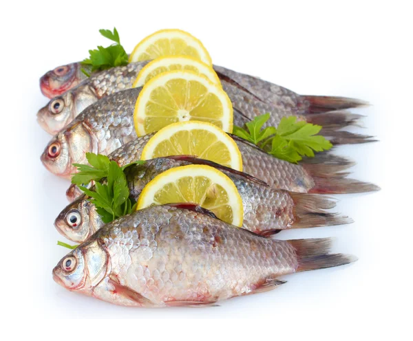 Verse vissen met citroen en peterselie geïsoleerd op wit — Stockfoto