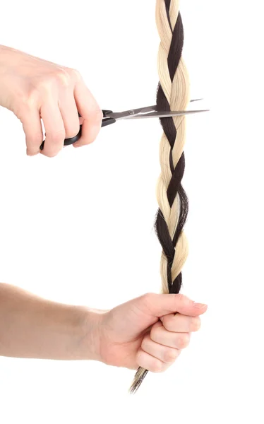 Pigtail em mãos de cabeleireiro isolado em branco — Fotografia de Stock