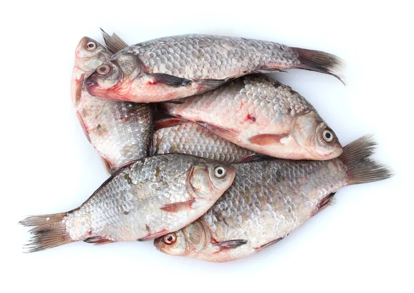 Verse vissen geïsoleerd op wit — Stockfoto