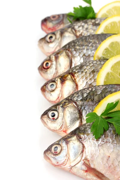 Pesci freschi con limone e prezzemolo isolati su bianco — Foto Stock