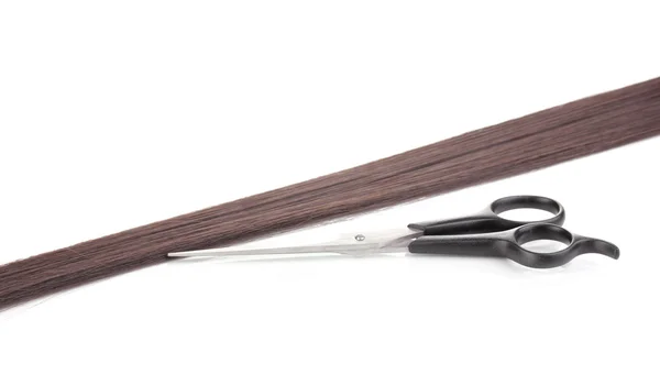 Шинно-коричневые волосы и стрижка стрижек изолированы на белом — стоковое фото