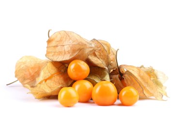 physalis öbek üzerinde beyaz izole