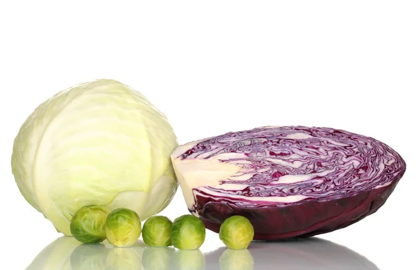 Fresh cabbages isolated on white — Stock Photo, Image