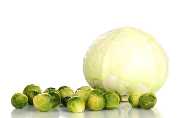 Brüksel lahanası taze ve yeşil lahana beyaz izole — Stok fotoğraf