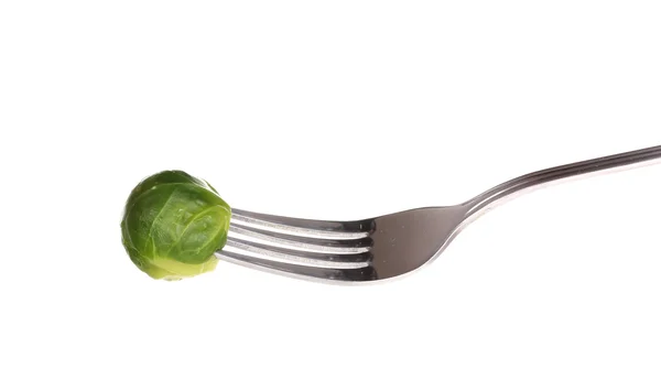 Fresh brussels sprout on fork isolated on white — Stock Photo, Image