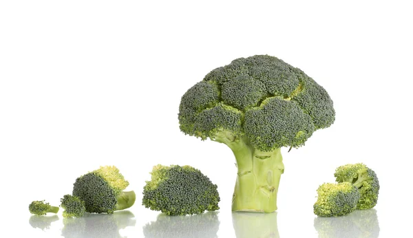 Broccoli freschi in linea isolati su bianco — Foto Stock