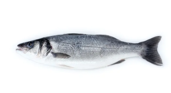 stock image Fresh fish isolated on white