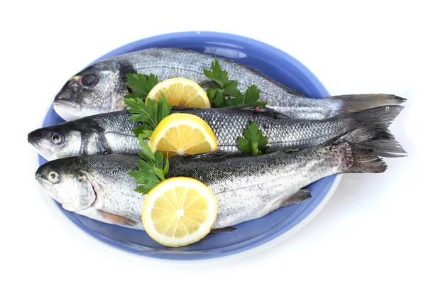 Pesci freschi con limone e prezzemolo su piatto isolato su bianco — Foto Stock