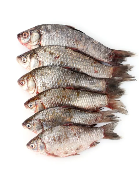 Fresh fishes isolated on white — Stock Photo, Image