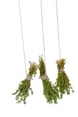 Fresh green thyme hanging on rope isolated on white clipart