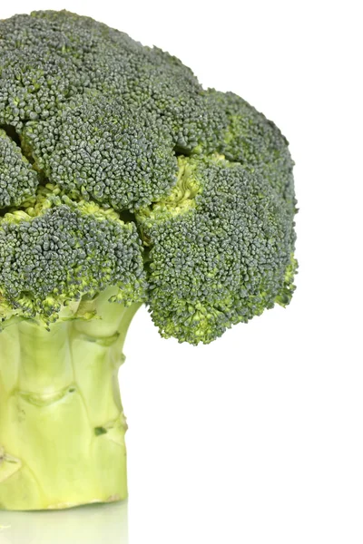 Fresh broccoli close-up isolated on white — Stock Photo, Image