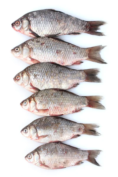 白で隔離される新鮮な魚 — ストック写真