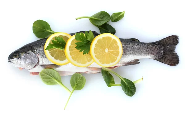 Świeże ryby z cytryną i natką pietruszki, na białym tle — Zdjęcie stockowe