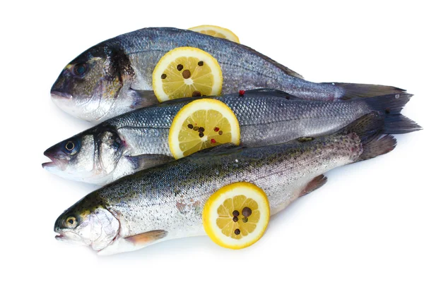 ปลาสดที่มีมะนาวและพริกไทยแยกจากสีขาว — ภาพถ่ายสต็อก