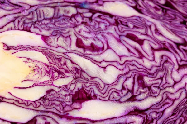 Fresh red cabbage cross section close-up isolated on white — Stock Photo, Image