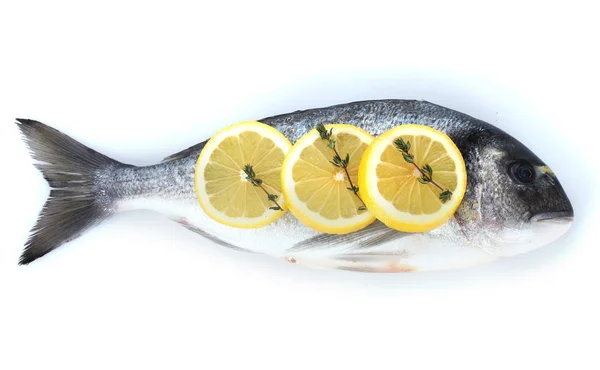 Färsk fisk med citron och timjan isolerad på vit — Stockfoto