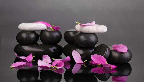 Wellness-Steine und Blütenblätter auf grauem Hintergrund — Stockfoto