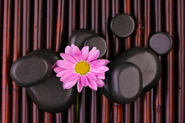 Spa stones and flower on bamboo mat — Stock Photo, Image