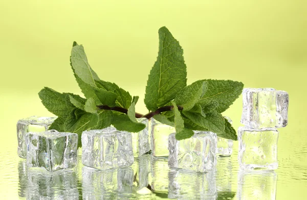 Folha de hortelã fresca e cubos de gelo com gotículas no fundo verde — Fotografia de Stock