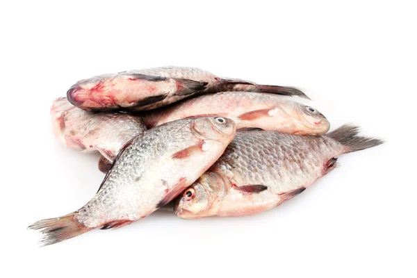 Färska fiskar isolerad på vit — Stockfoto