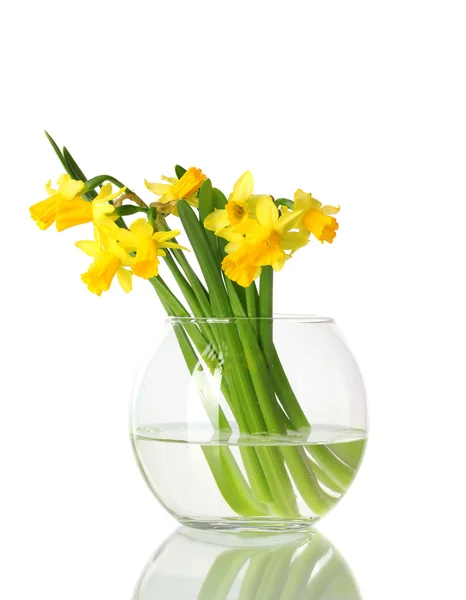 Vackra gula påskliljor i transparent vas isolerad på vit — Stockfoto