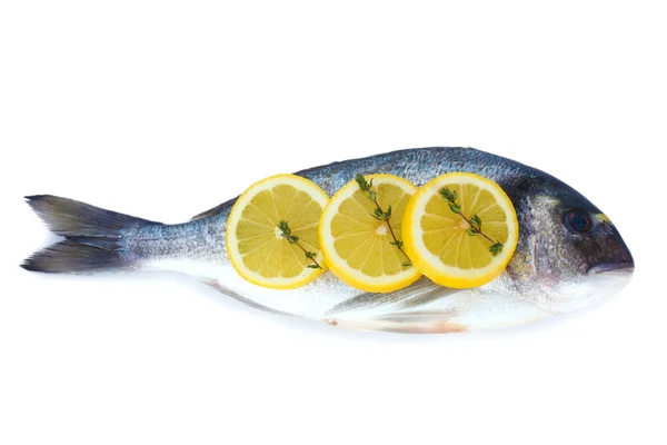 Свіжа риба з лимоном і чебрецем ізольована на білому — стокове фото