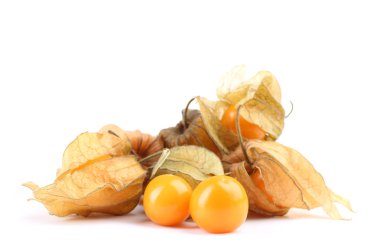 physalis öbek üzerinde beyaz izole