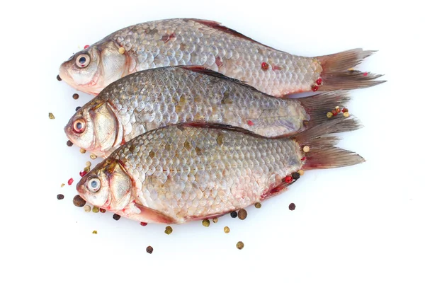 新鮮な魚で、白で隔離されるコショウ — ストック写真