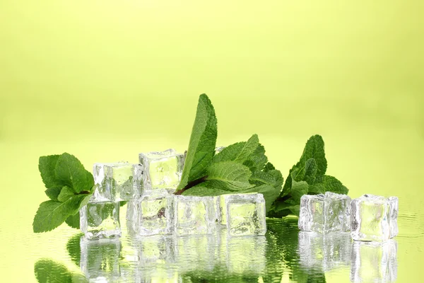 Свіжий м'ятний лист і кубики льоду з краплями на зеленому фоні — стокове фото
