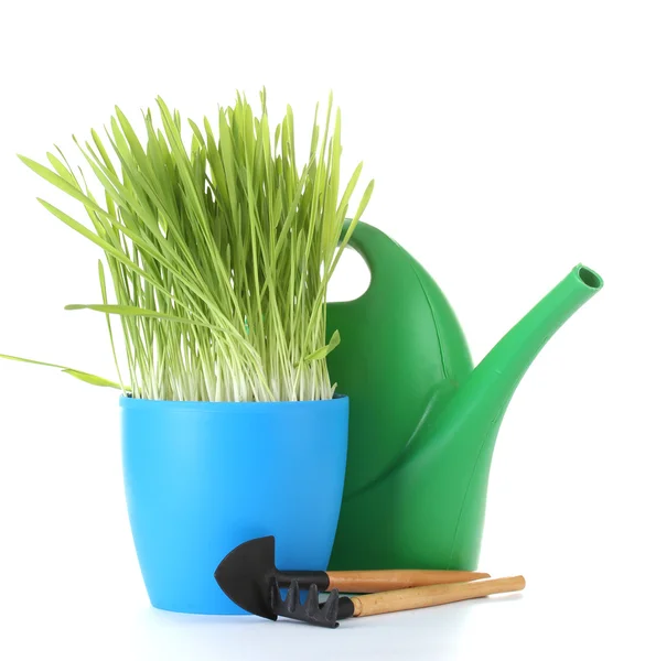 Beautiful grass in a flowerpot, watering can and garden tools isolated on white — Stock Photo, Image