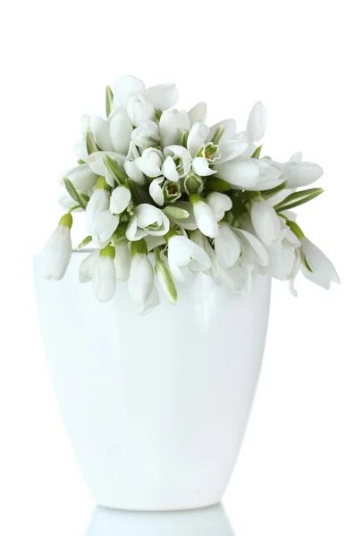 흰색 절연 꽃병에 snowdrops의 아름 다운 부케 — 스톡 사진