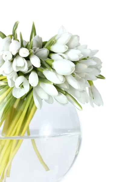 Vacker bukett av snödroppar i transparent vas isolerad på vit — Stockfoto
