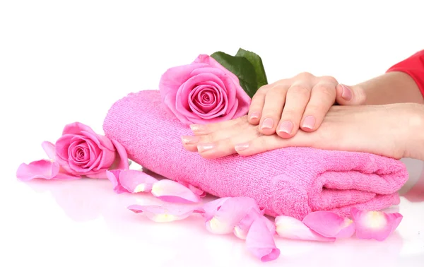 Handuk merah muda dengan mawar dan tangan di latar belakang putih — Stok Foto